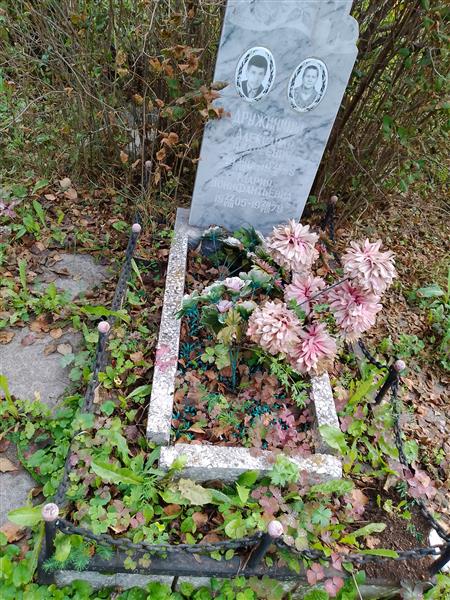 Дружинин Александр Андреевич