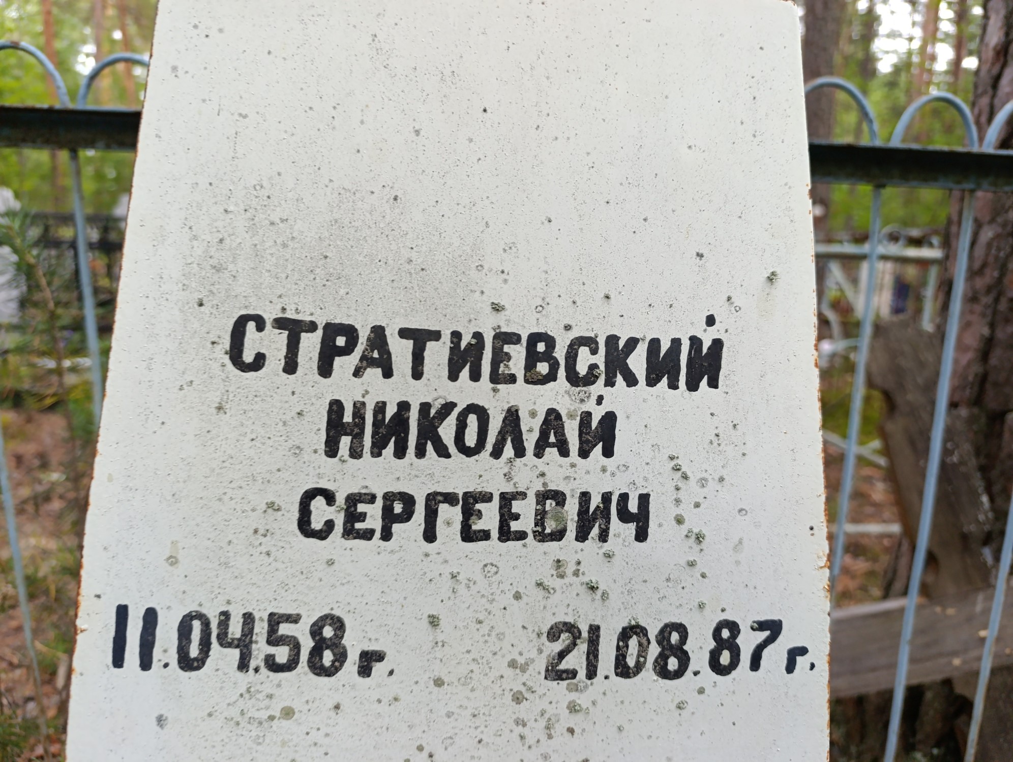 Стратиевский Николай Сергеевич