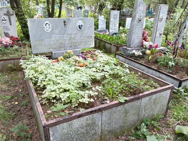 Шибанова Нина Михайловна