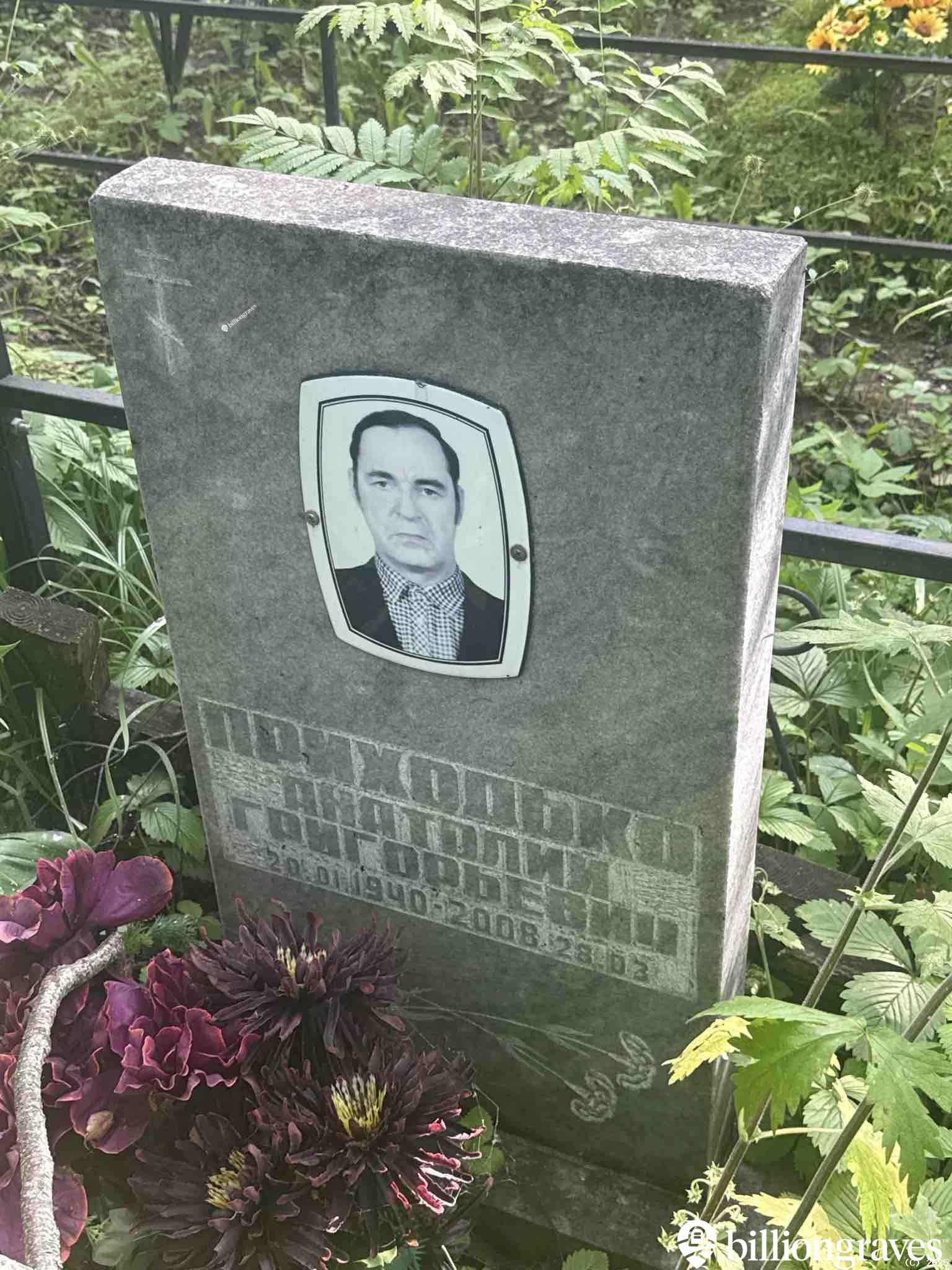 Приходько Анатолий Григорьевич