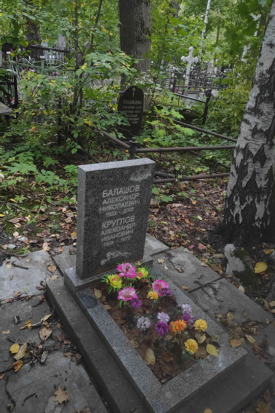 Балашов Александр Николаевич