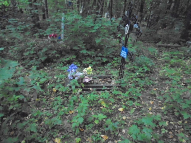 Сентюрева Татьяна Дмитриевна