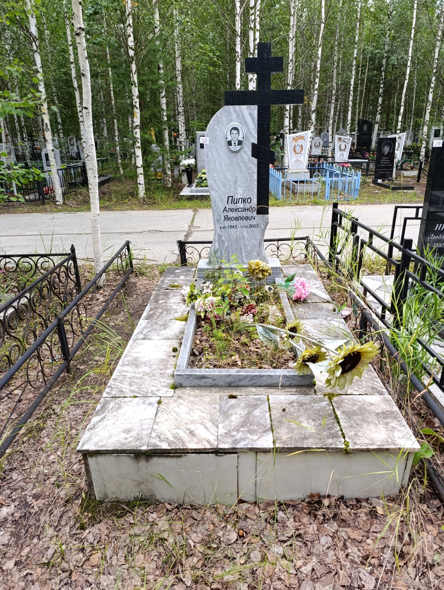Пипко Александр Яковлевич
