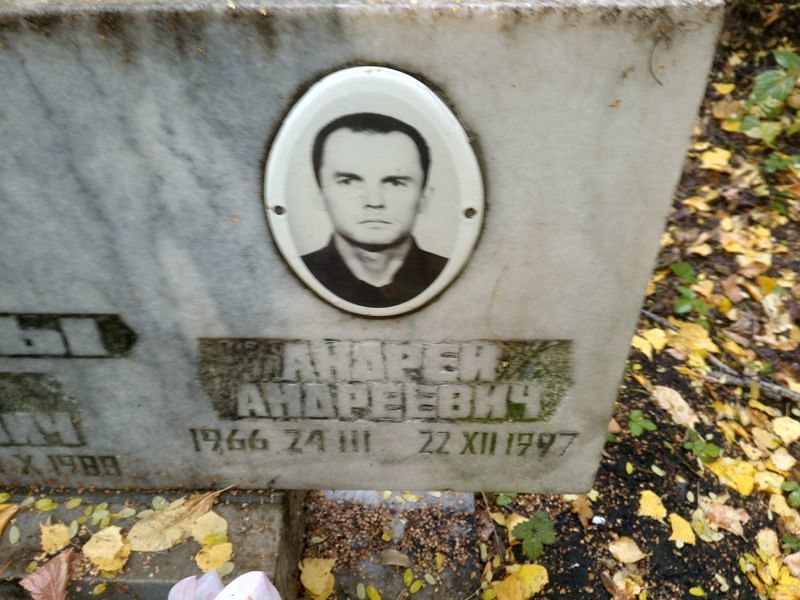 Быков