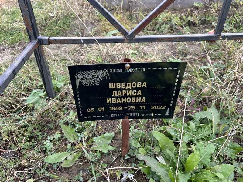 Шведова