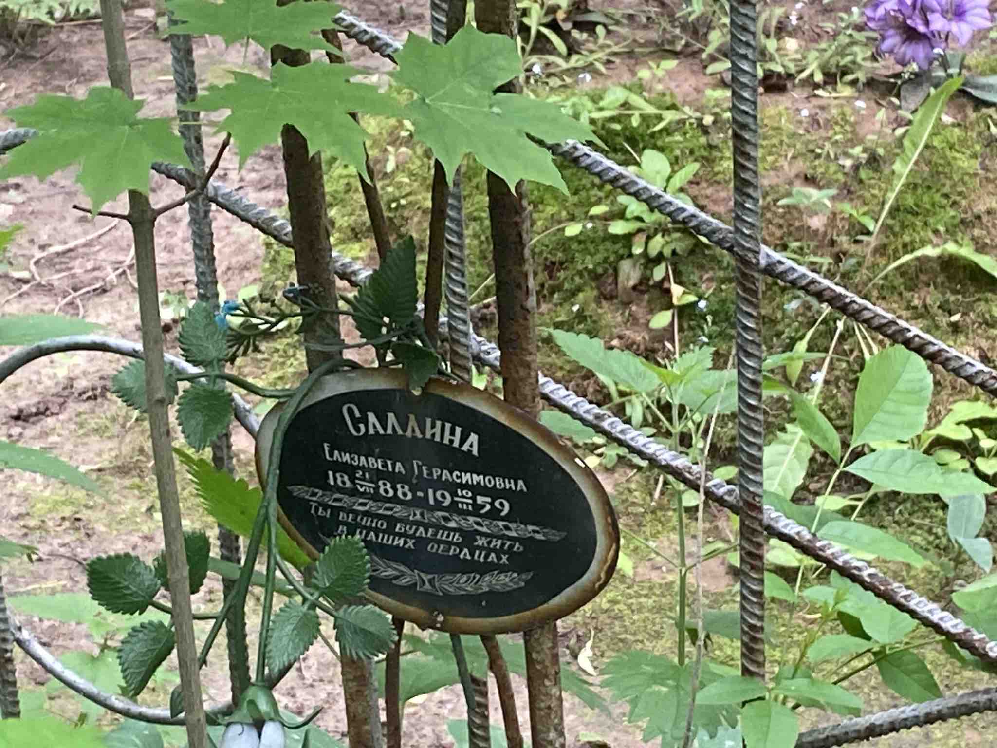 Салдина Елизавета Герасимовна