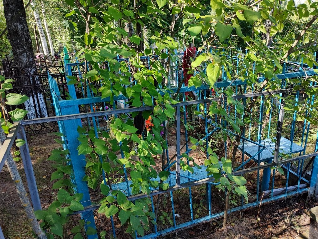Волков Александр Флегонтович