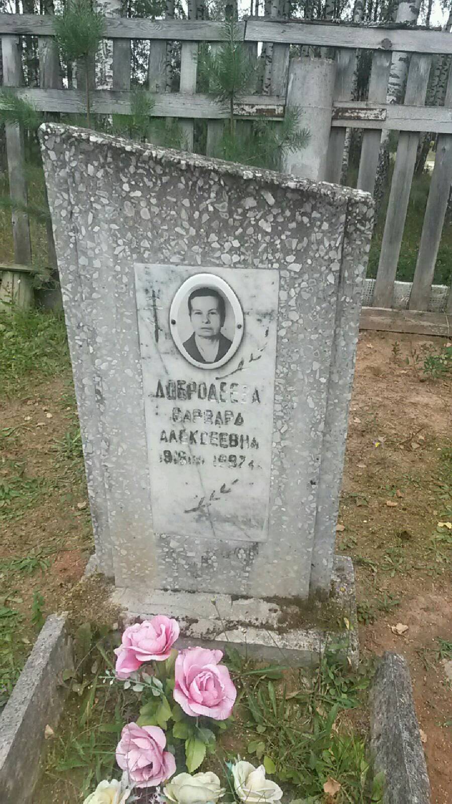 Добродеева Варвара Алексеевна