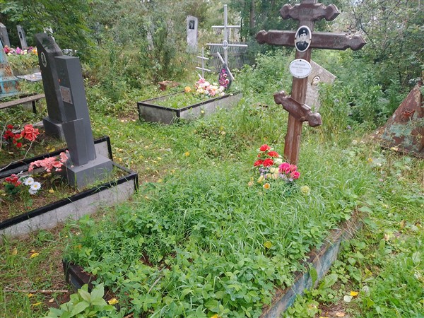 Шевеленок Николай Николаевич