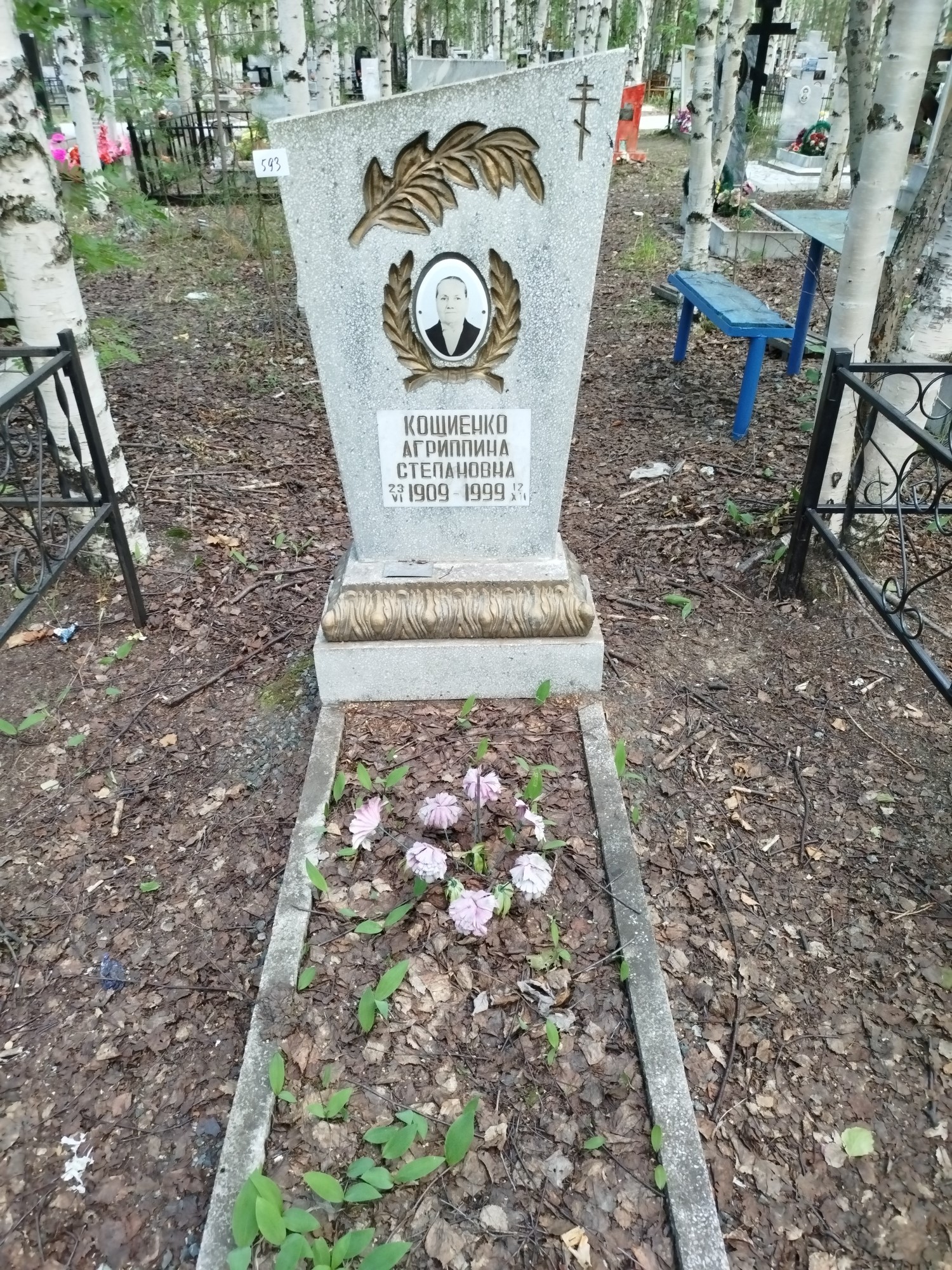 Кощиенко Агриппина Степановна