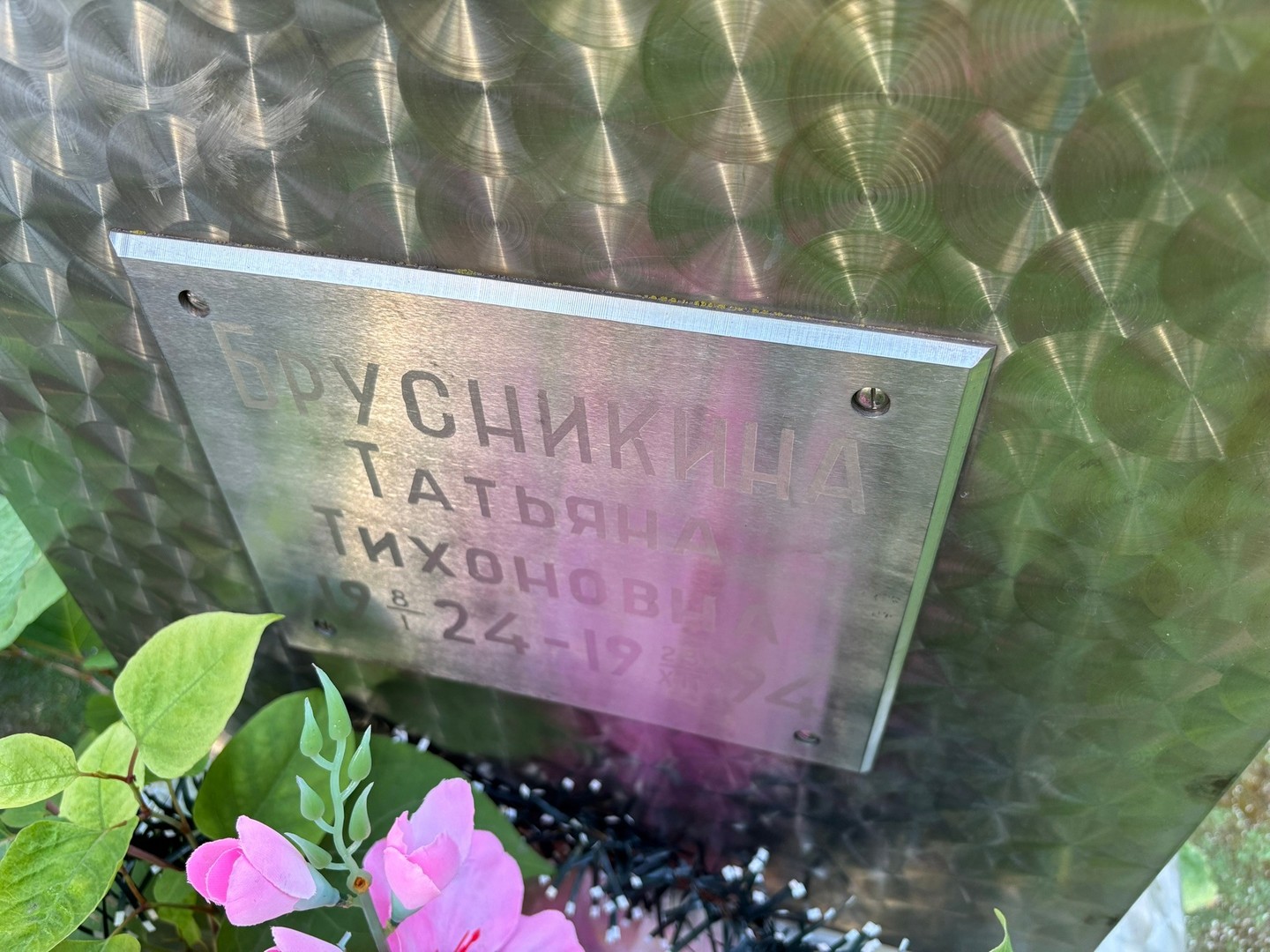 Брусникина