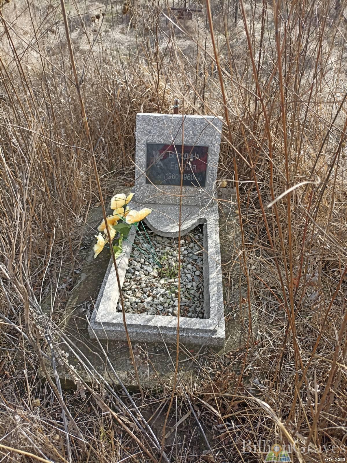 Бородина Евгения