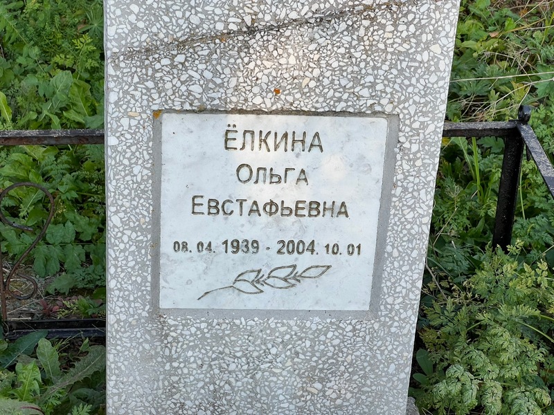 Елкина