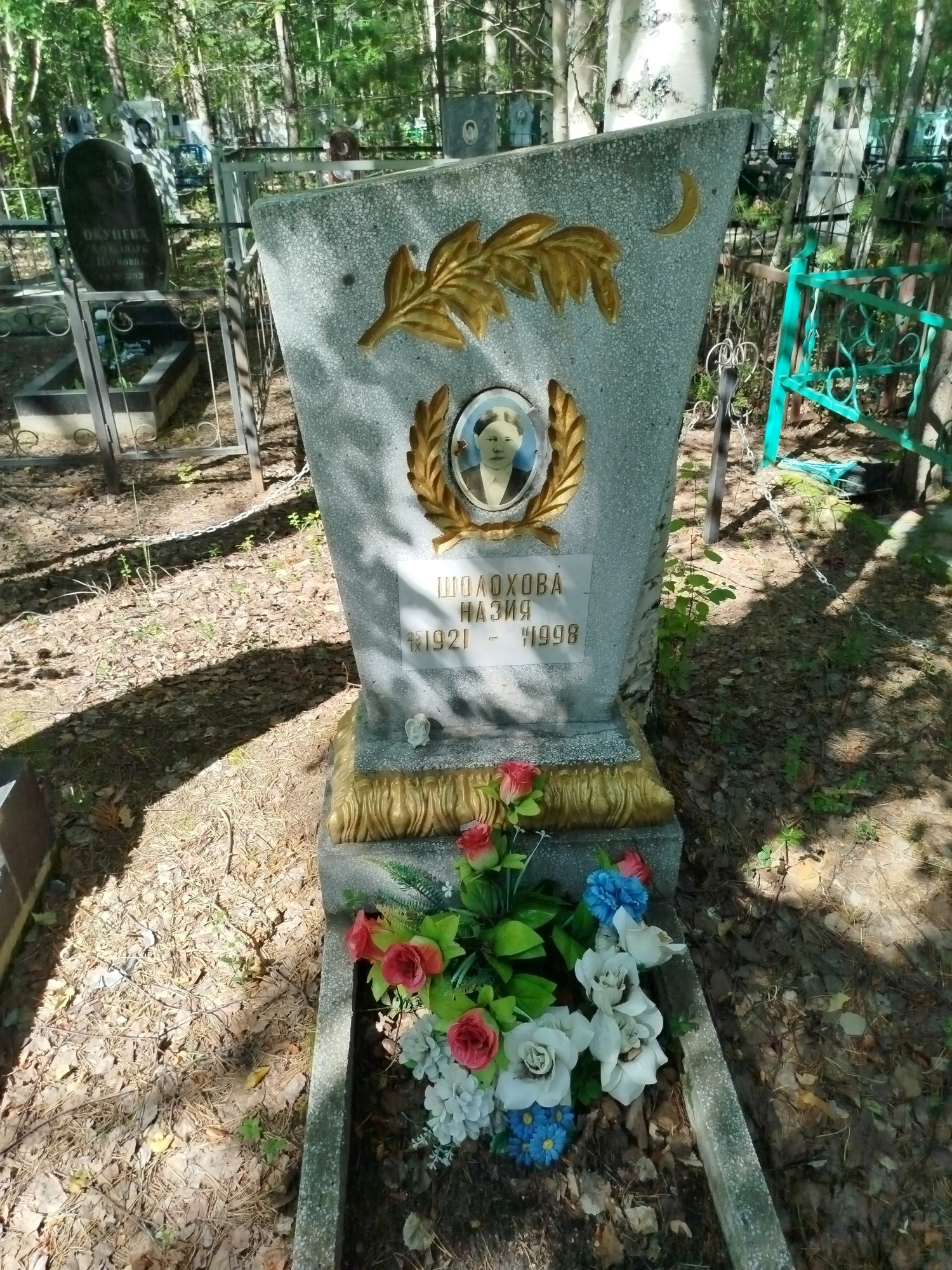 Шолохова Назия
