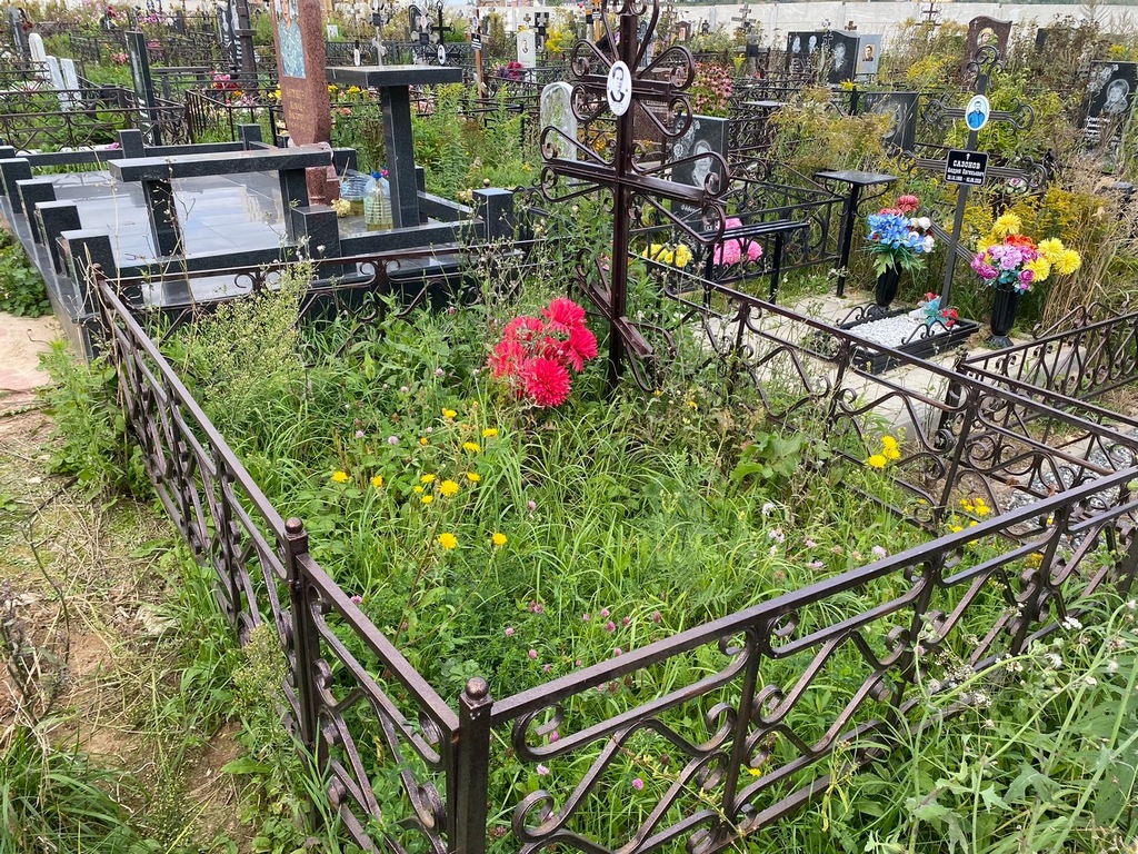Летунова Александра Сергеевна
