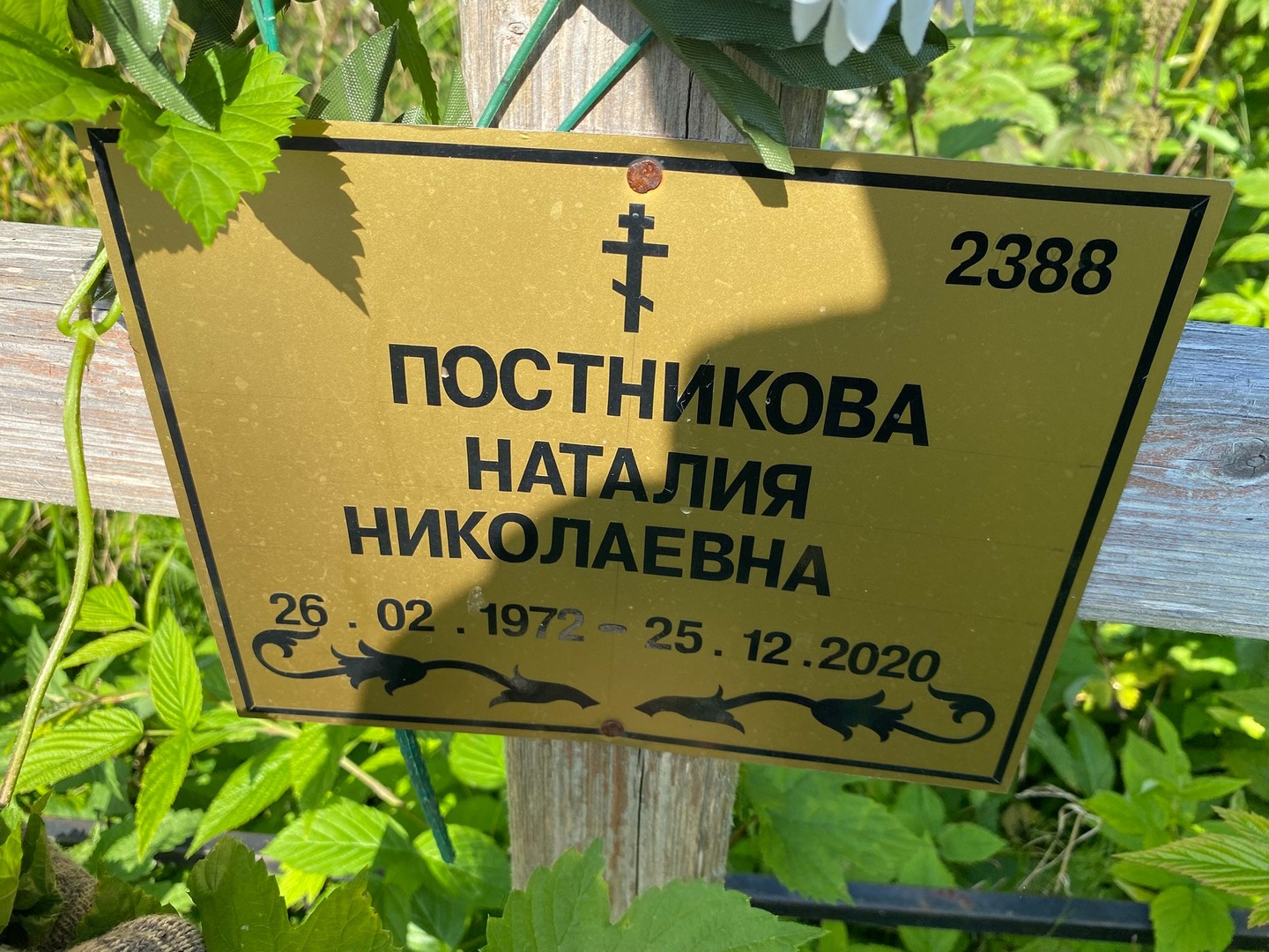 Наталия Постникова Николаевна
