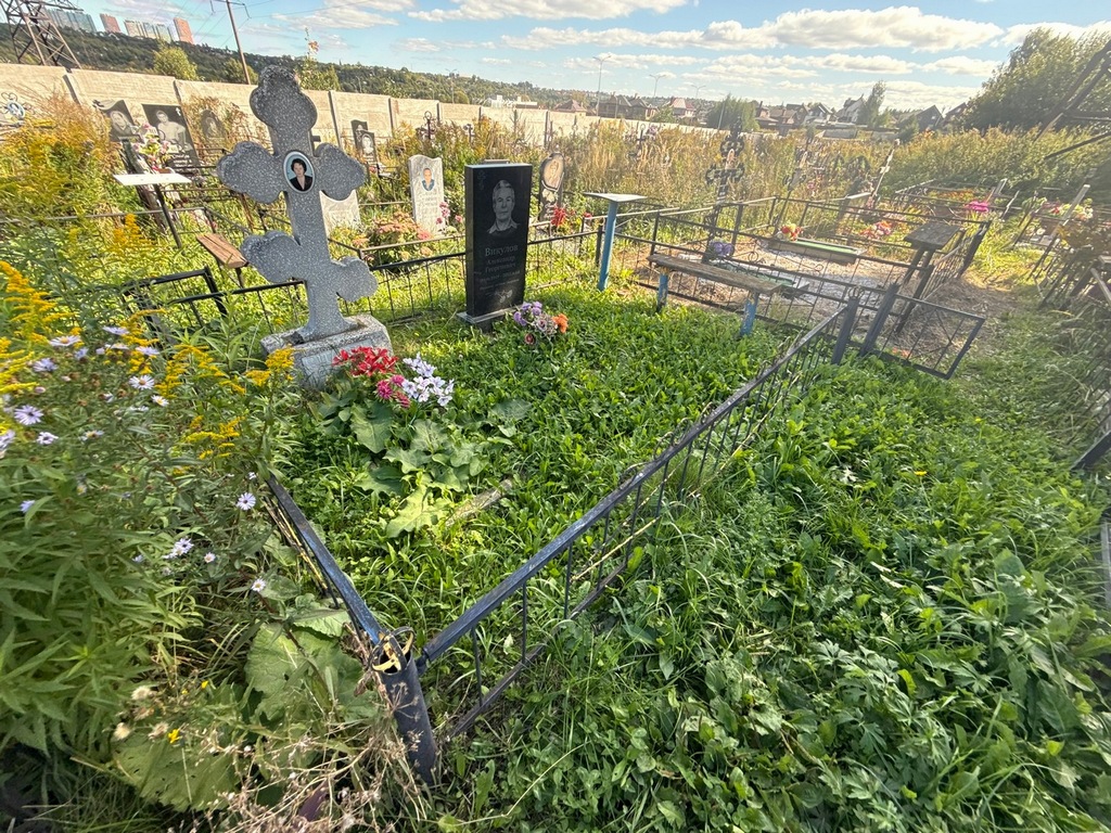 Викулов Александр Георгиевич