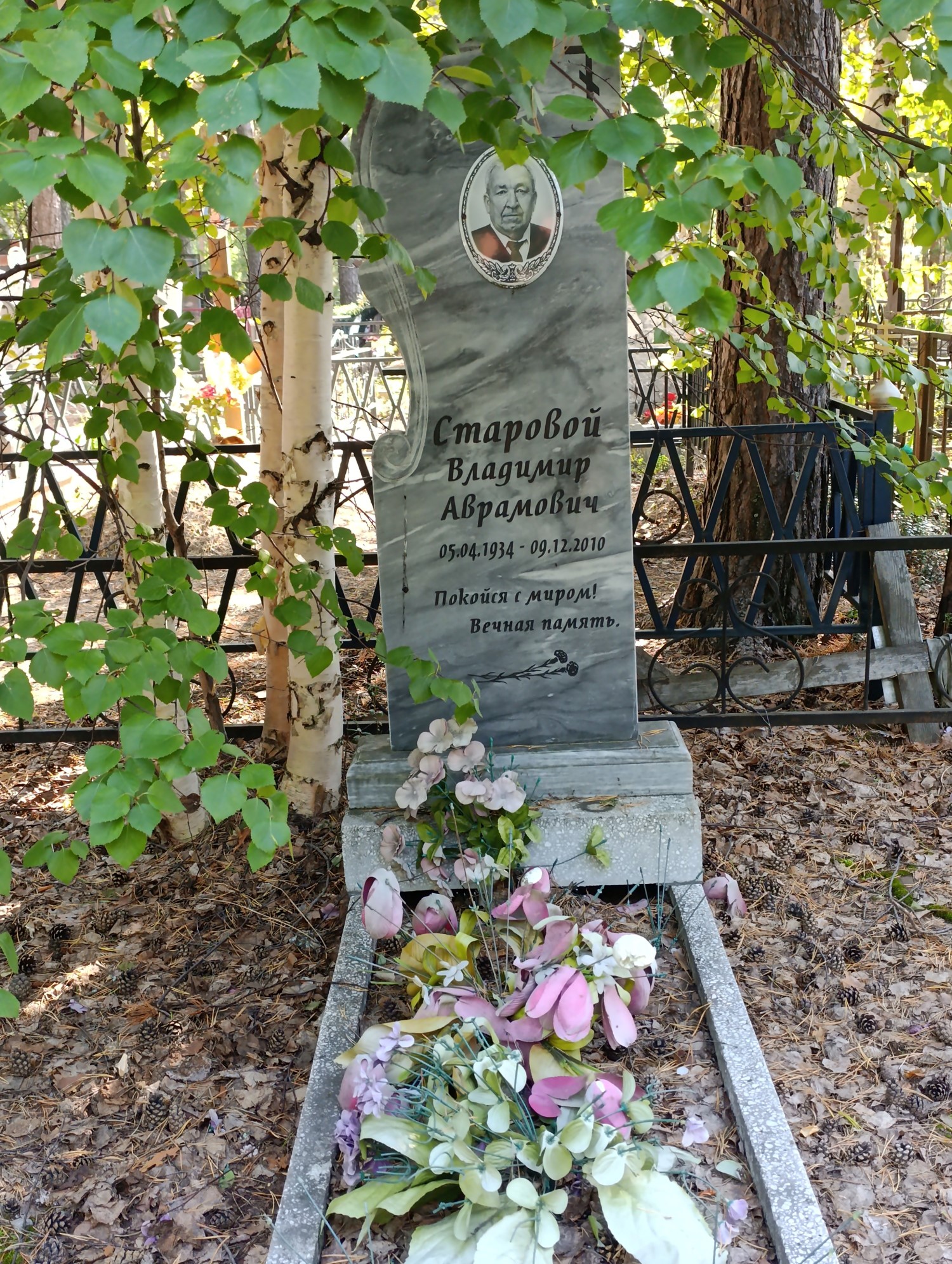 Старовой Владимир Аврамович