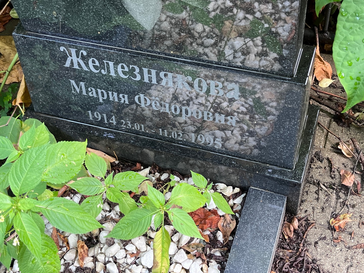 Железнякова