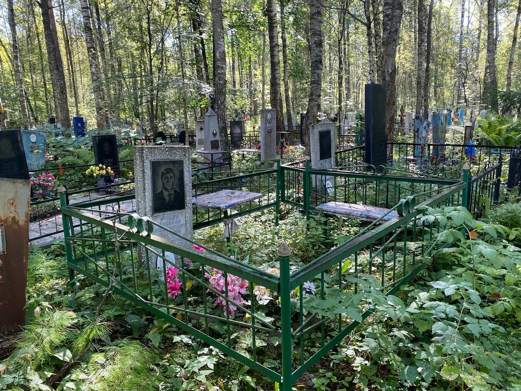 Родин Николай Александрович