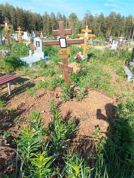 Овечкина Татьяна Александровна