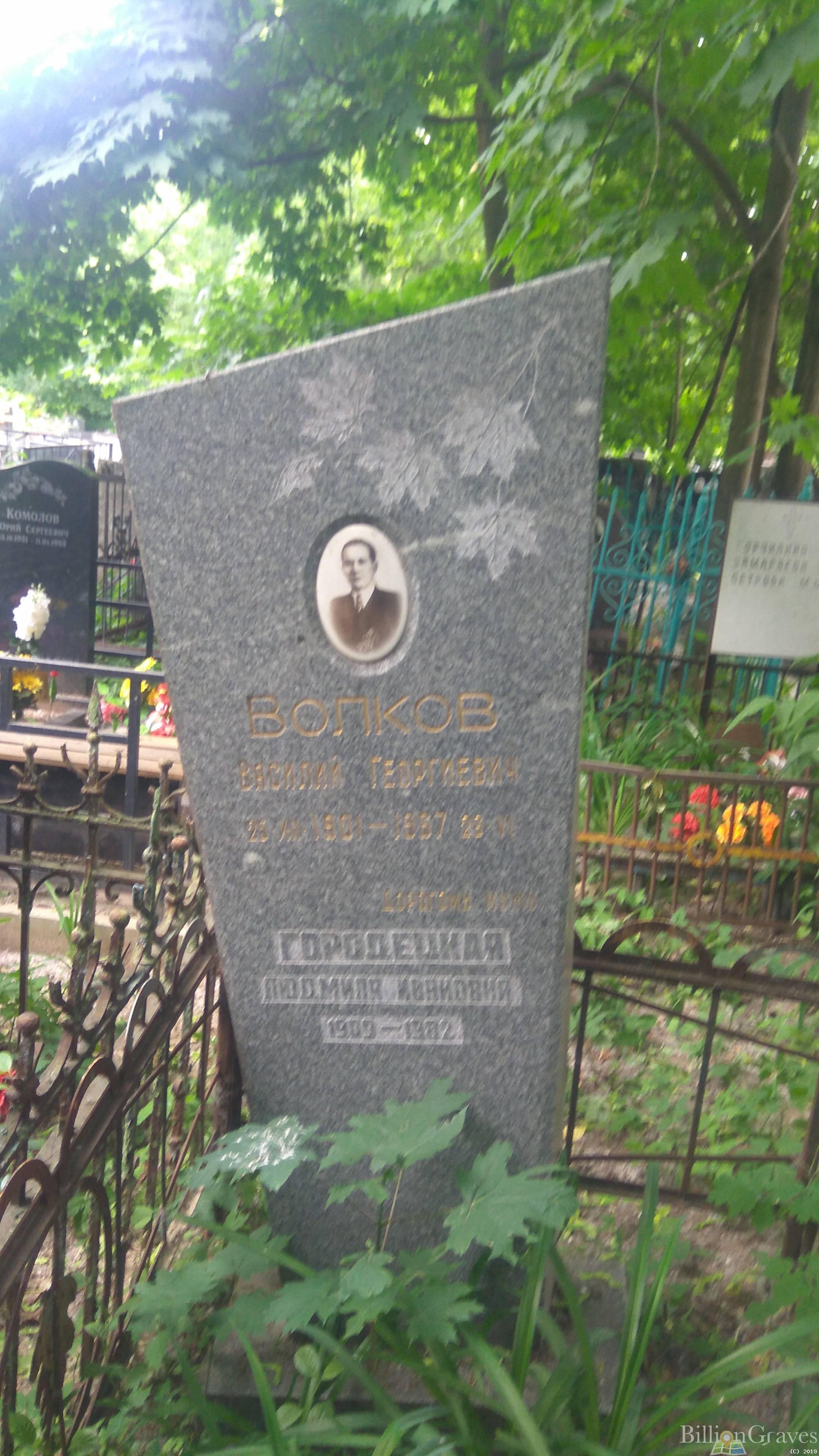 Волков Василий Георгиевич