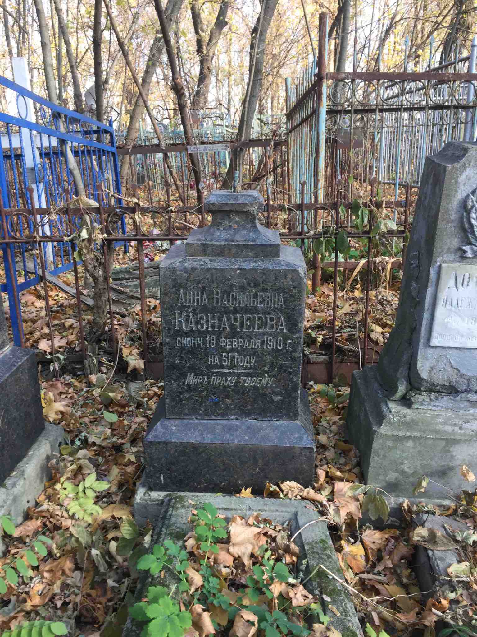 Казначеева Анна Васильевна