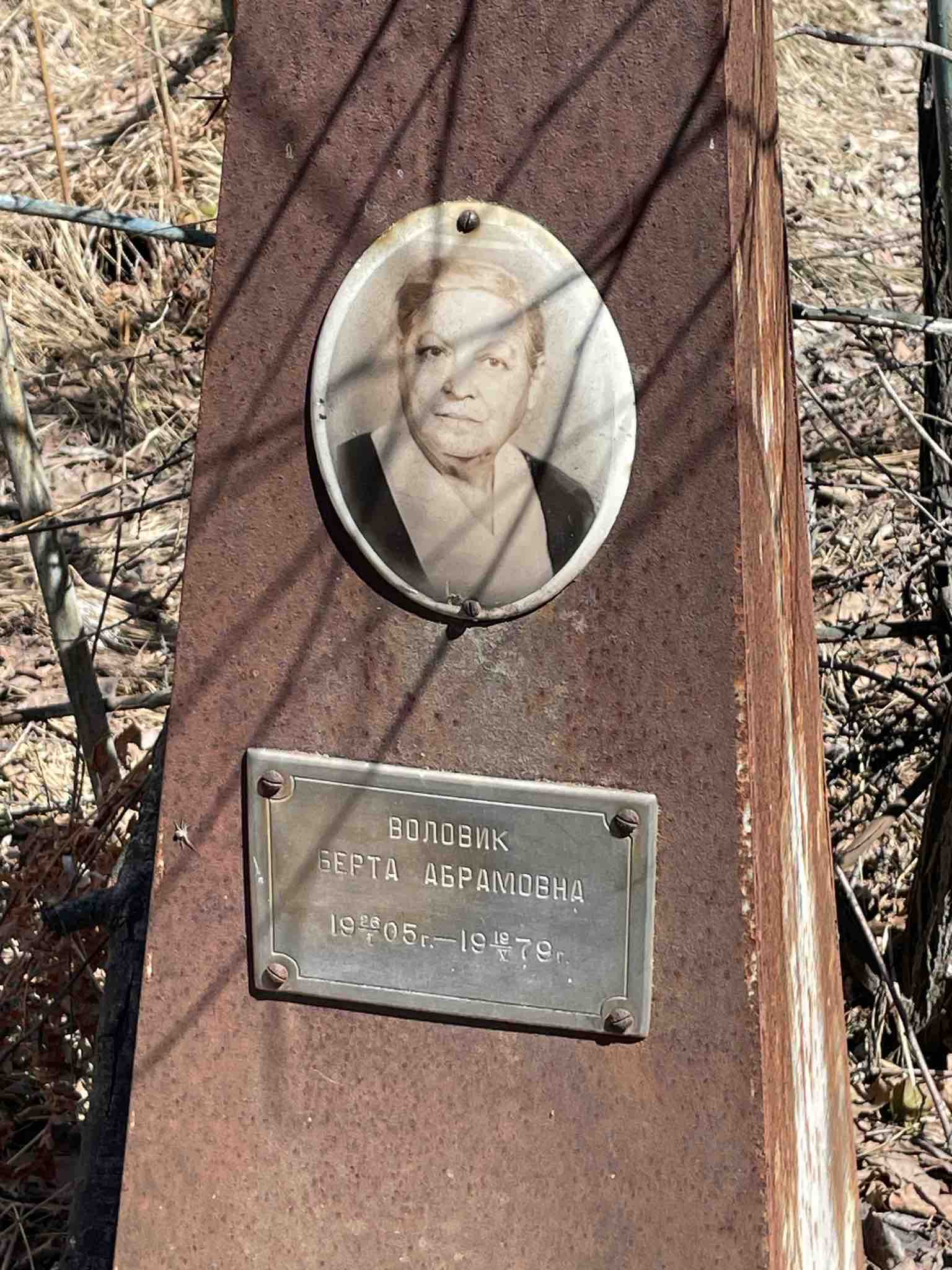 Воловик Берта Абрамовна