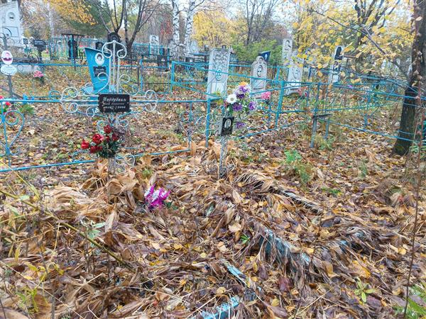 Поддубная Анна Ильинична