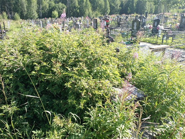 Мокроносова Наталья Николаевна