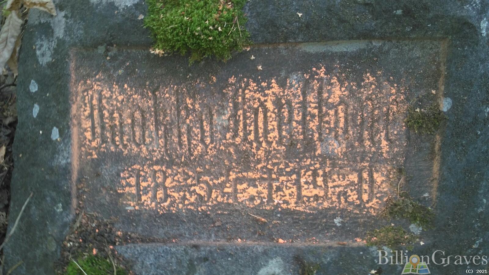 Hanttonen Haakko