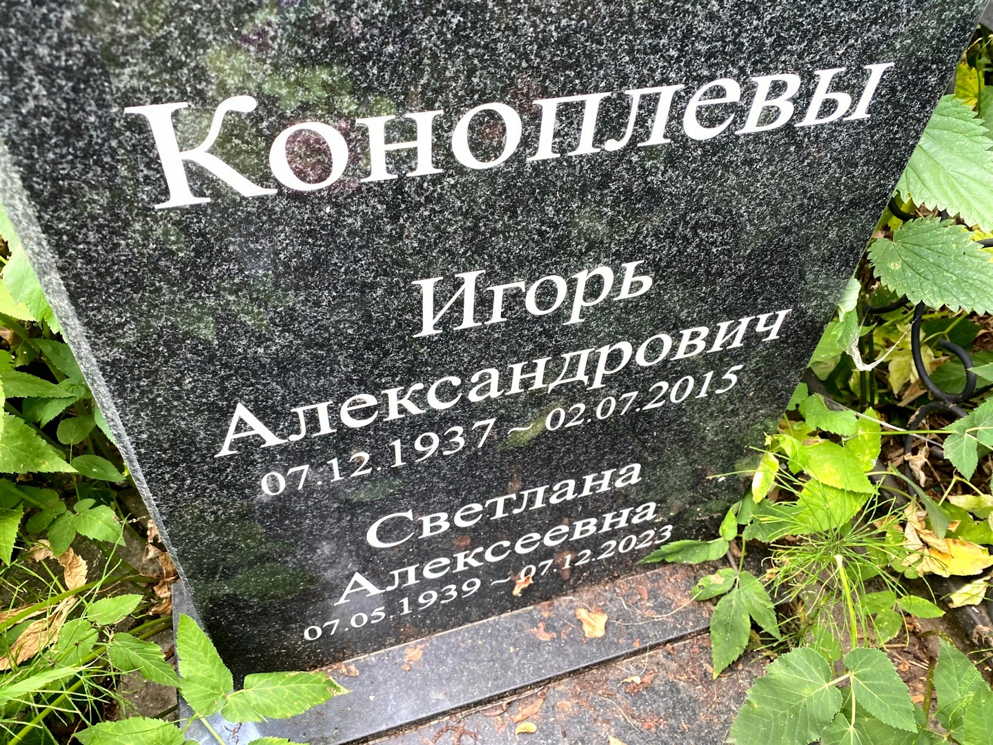 Коноплева