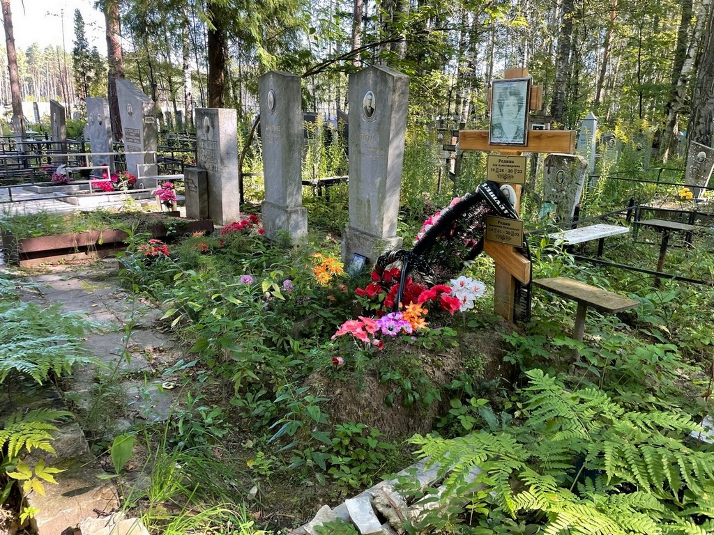 Родин Владимир Николаевич