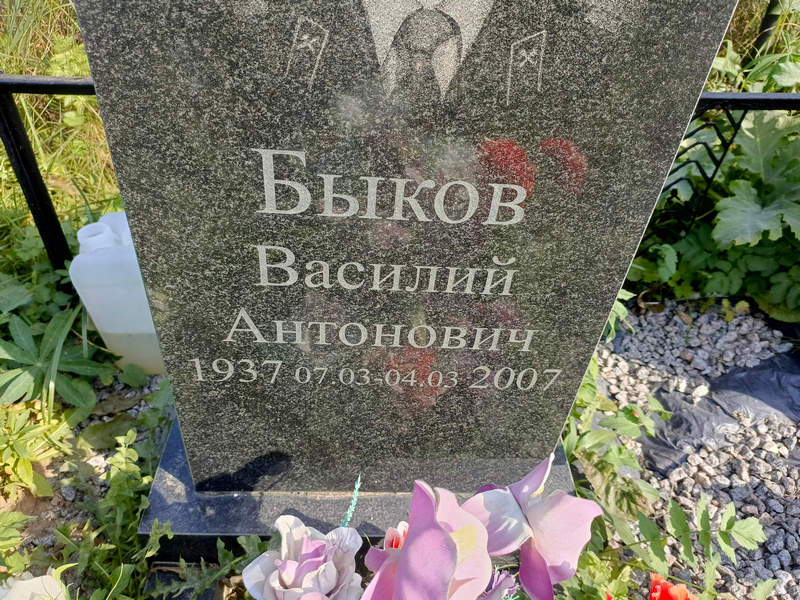 Быков