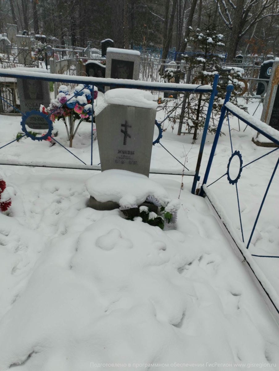 Жукова Анна Андреевна
