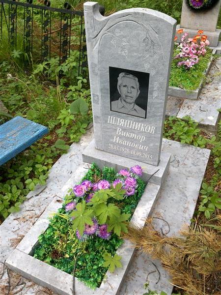 Шляпников Виктор Иванович