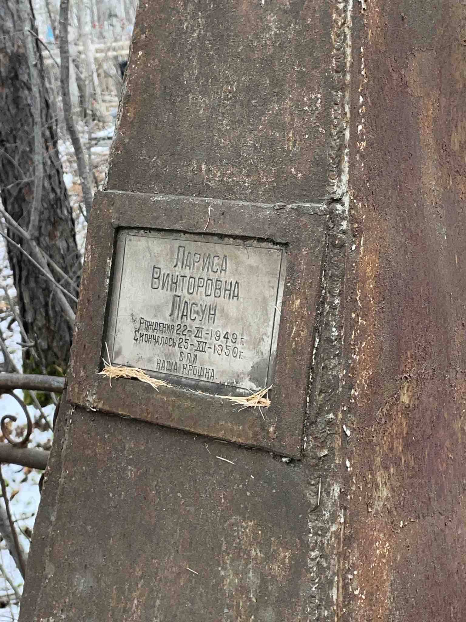 Ласун Лариса Викторовна