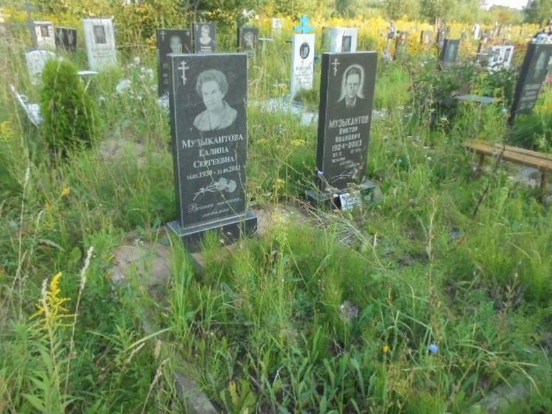 Музыкантова Галина Сергеевна