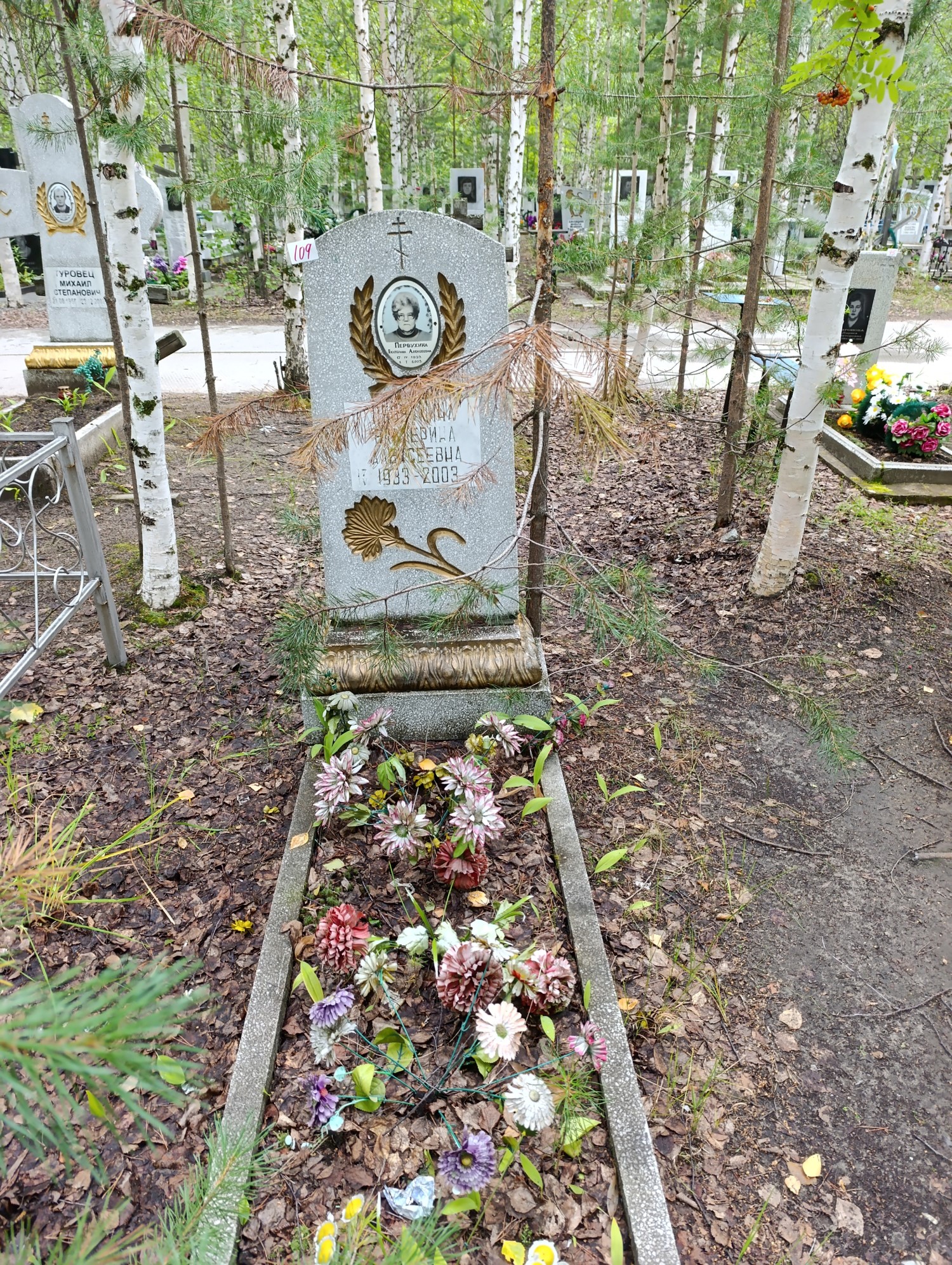 Первухина Екатерина Алексеевна