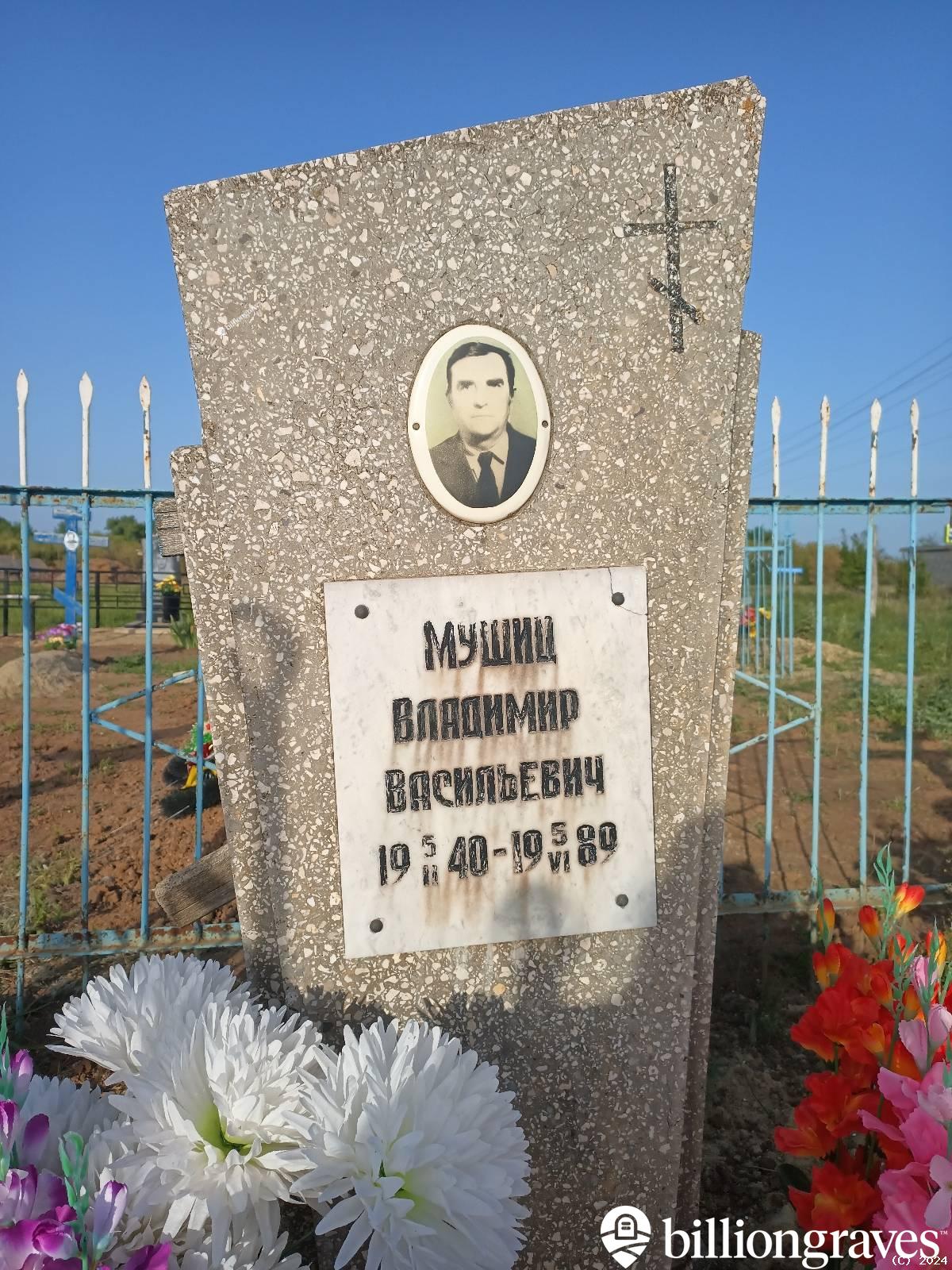 Мушиц Владимир