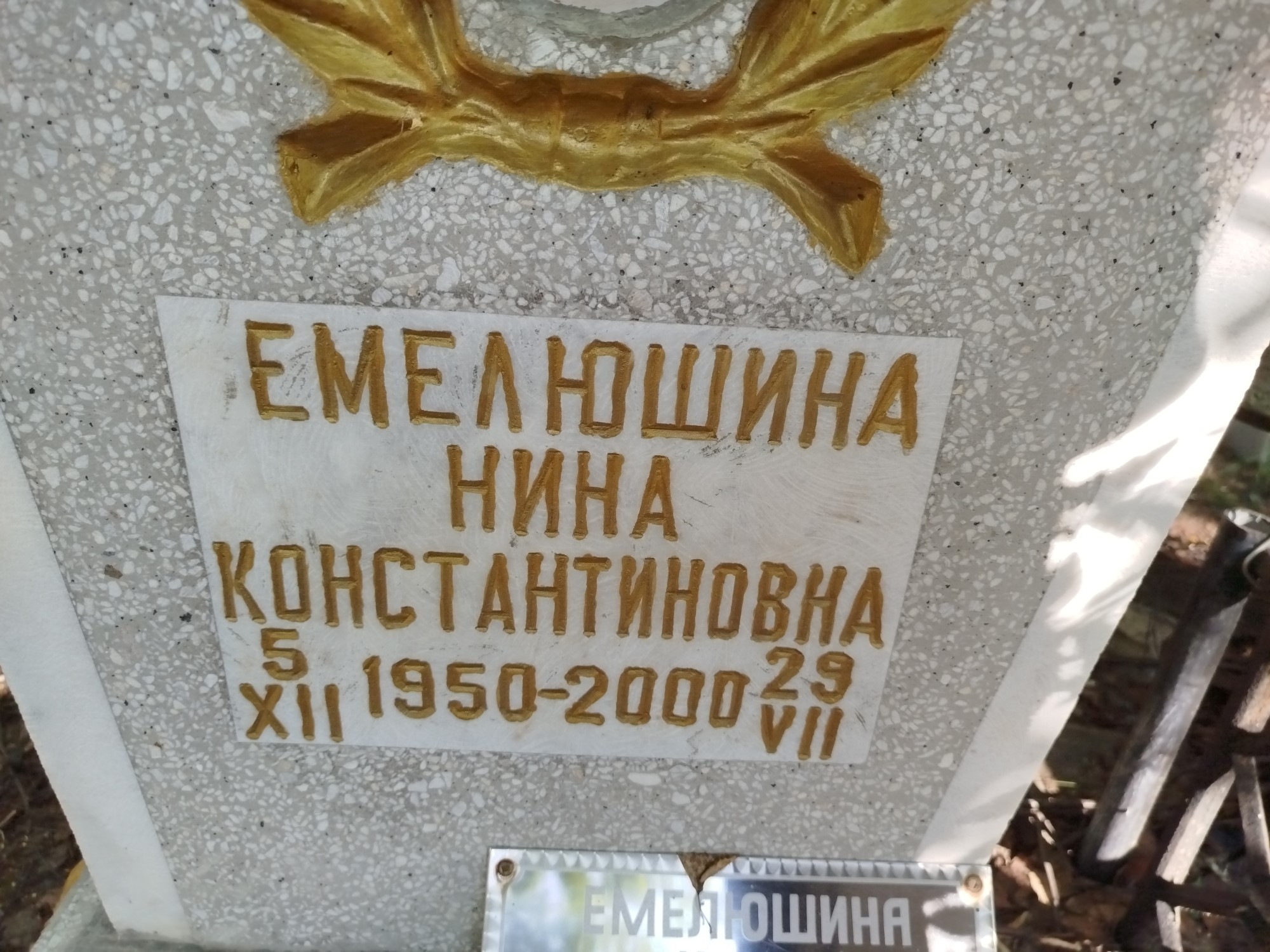 Емелюшина Нина Константиновна
