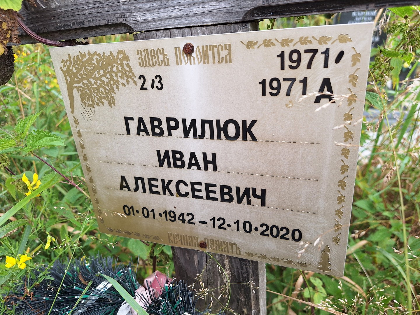 Гаврилюк