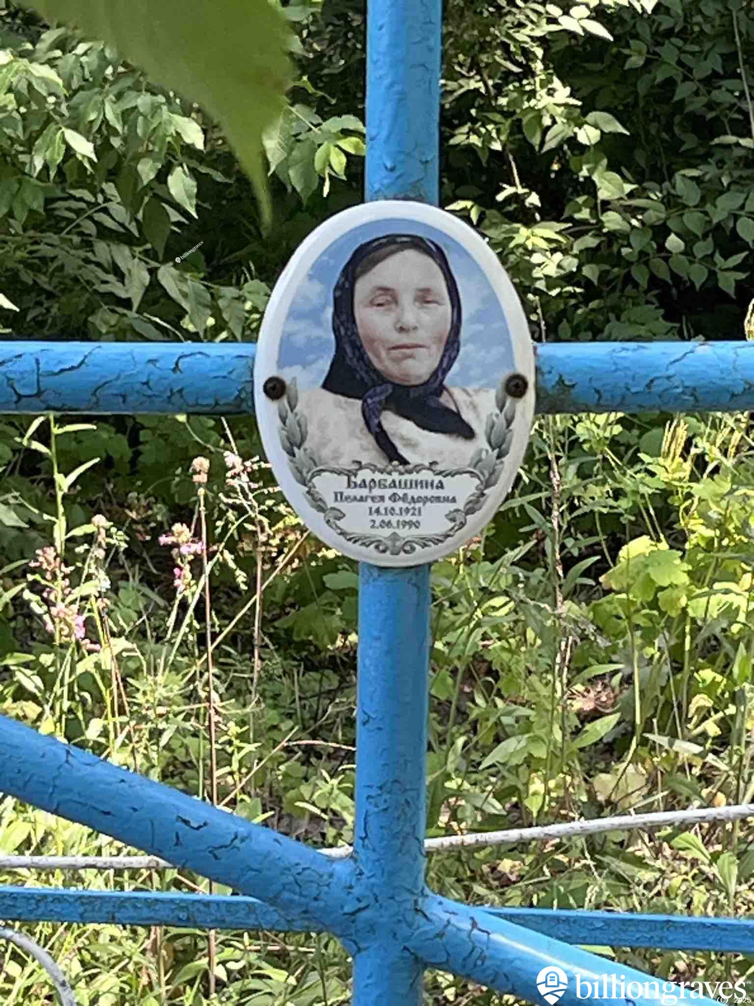 Барбашина Пелагея Фёдоровна