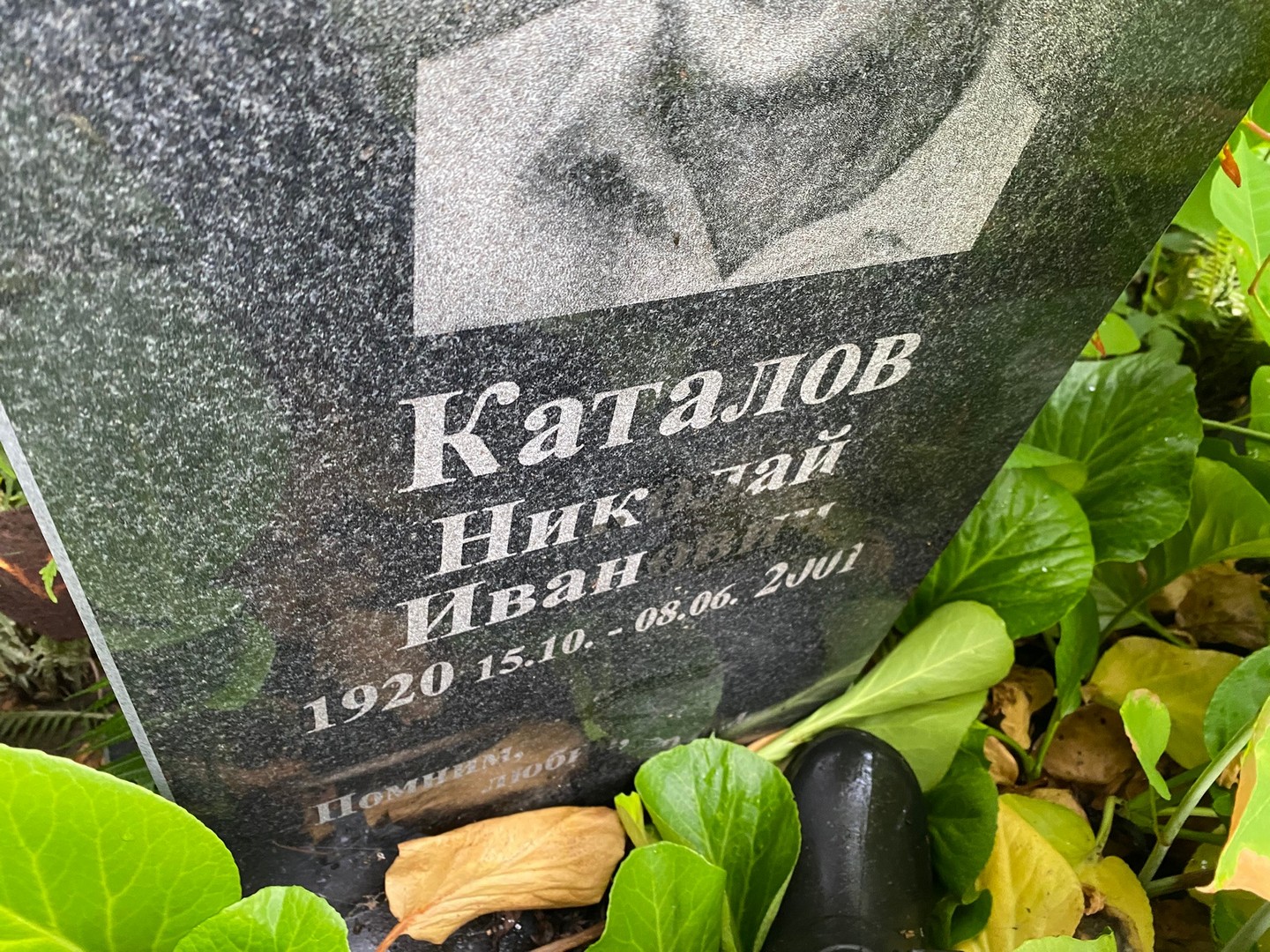 Каталов