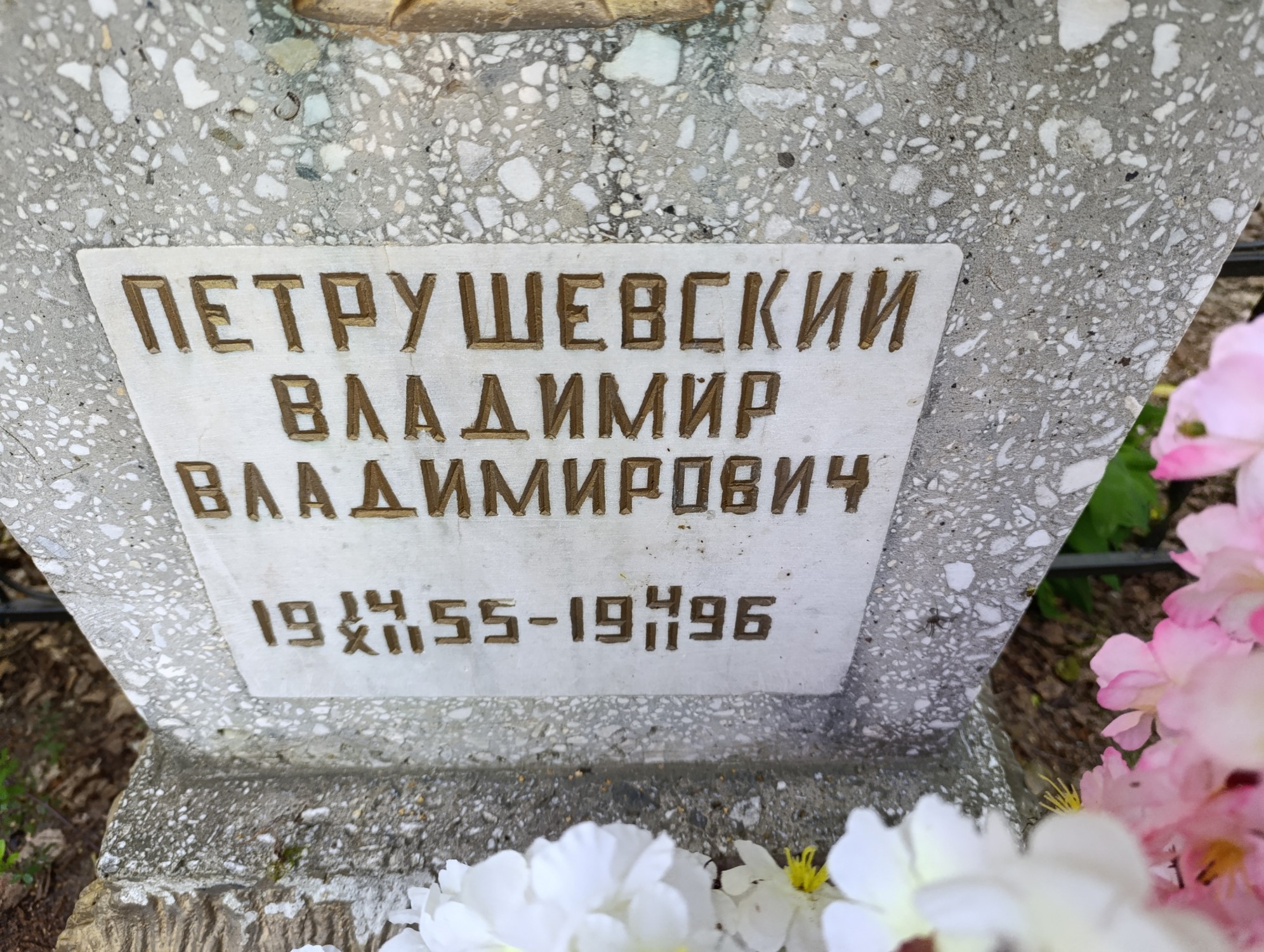 Петрушевский Владимир Владимирович