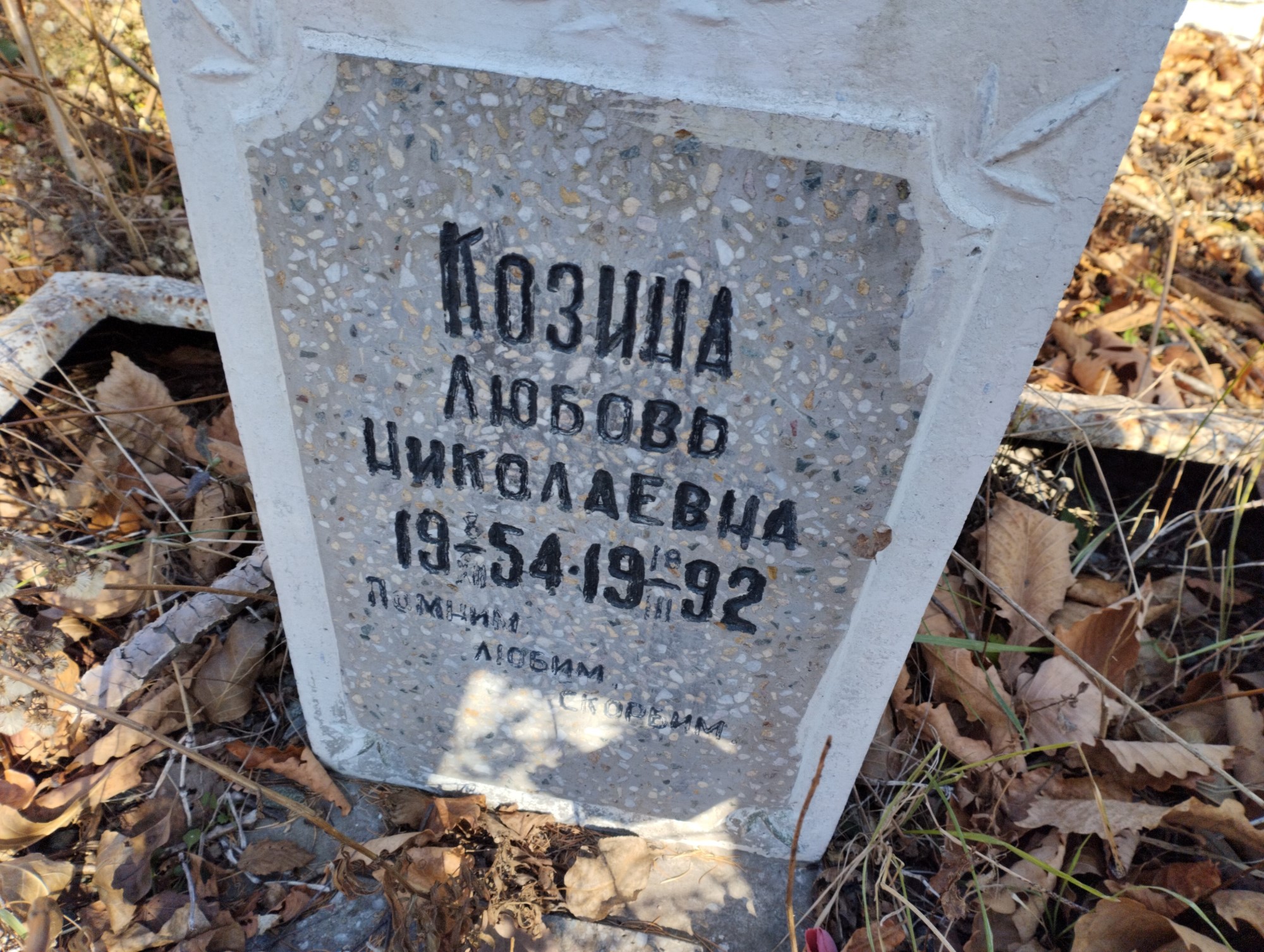 Козина Любовь Николаевна