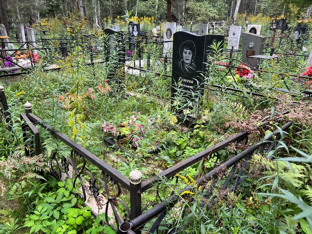 Гужев Николай Васильевич