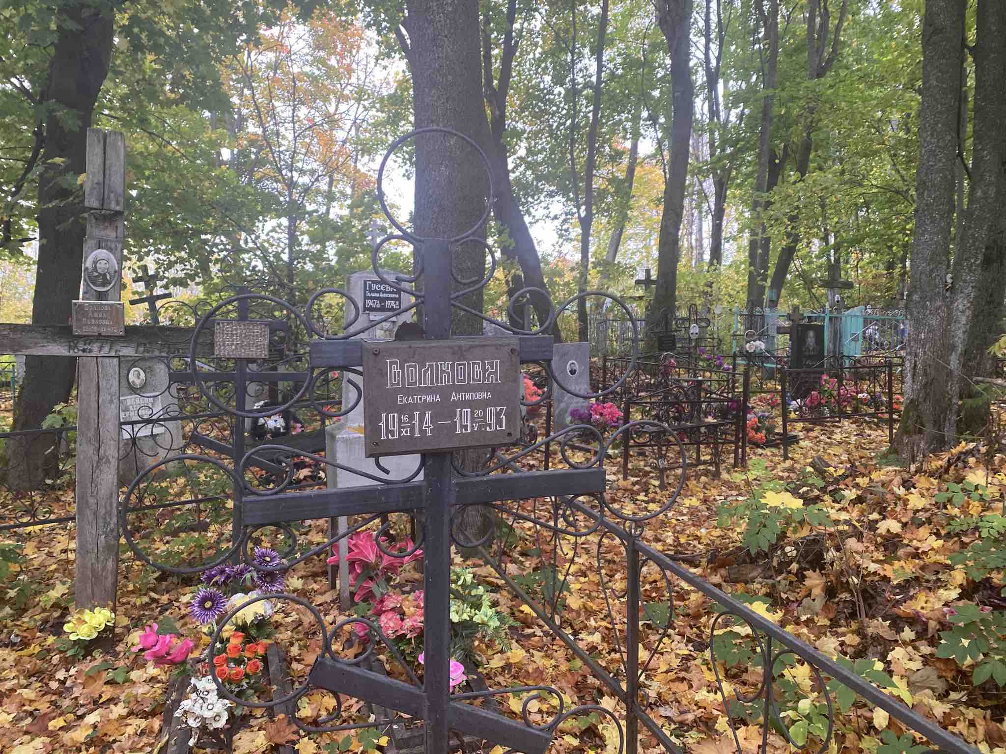 Волков Алексей Николаевич