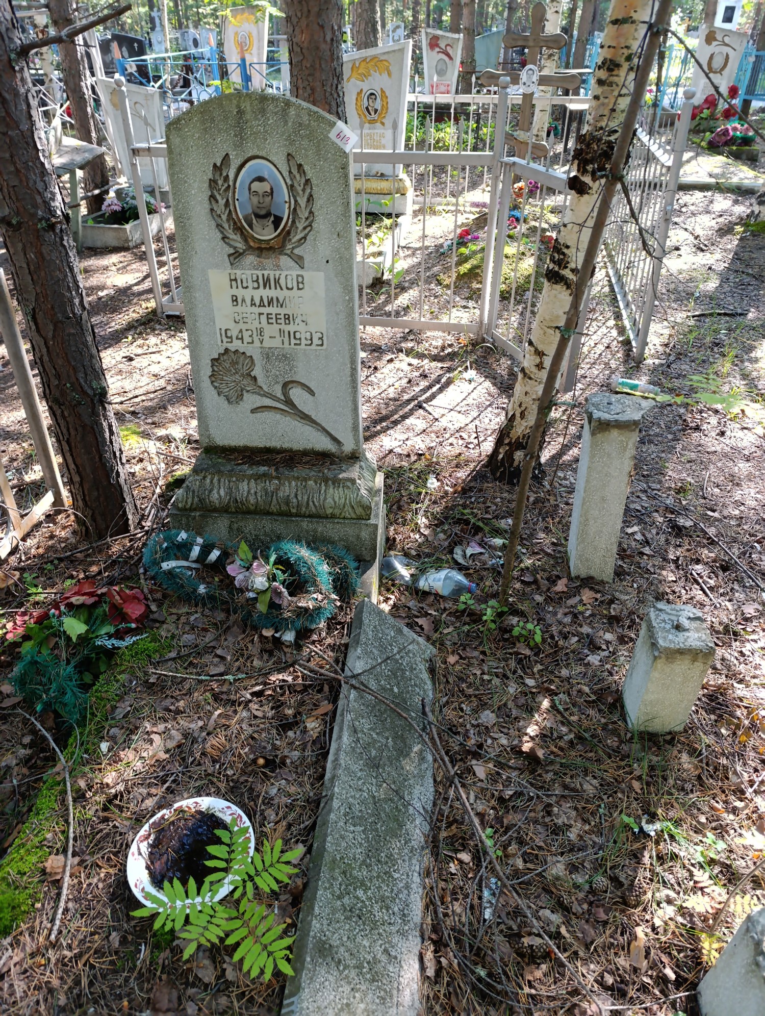 Новиков Владимир Сергеевич