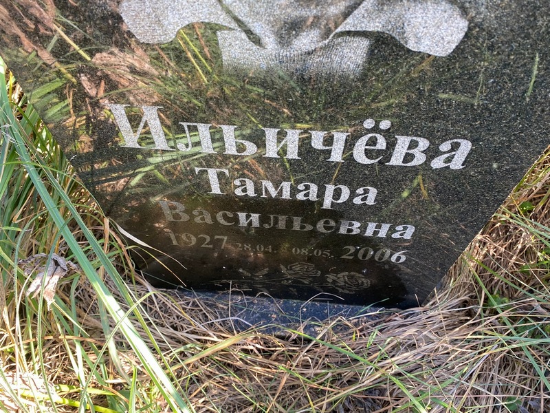Илычева